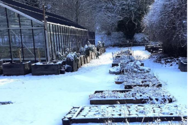 Gartenpost Letzter Verkauf 2025