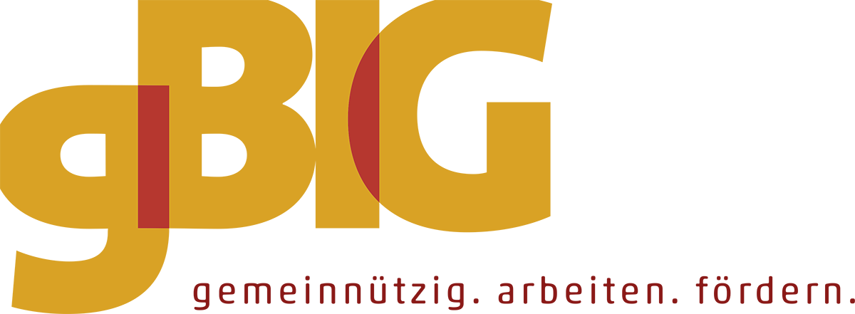 gBIG Logo
